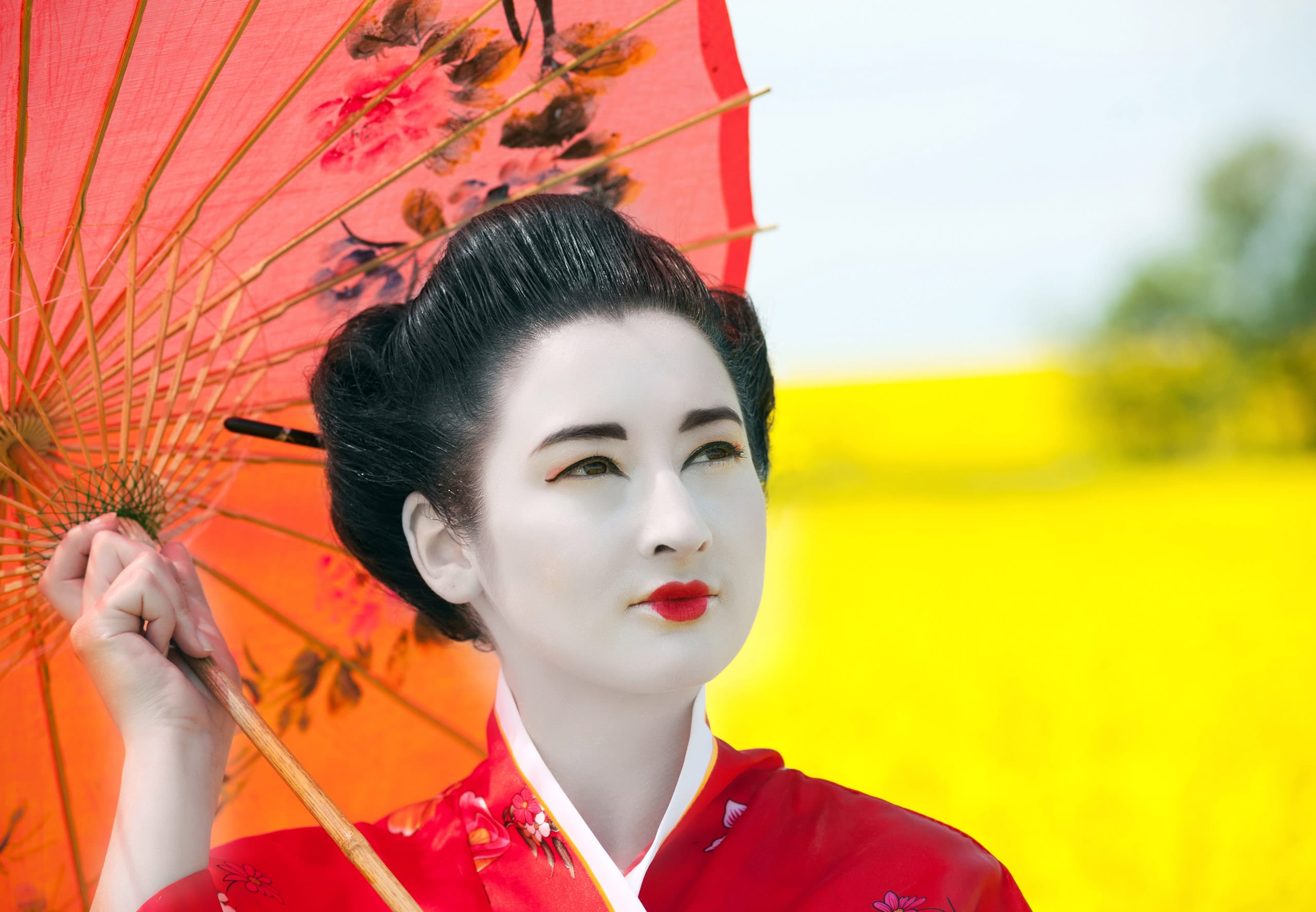 16-daagse groepsrondreis Land van de Geisha's
